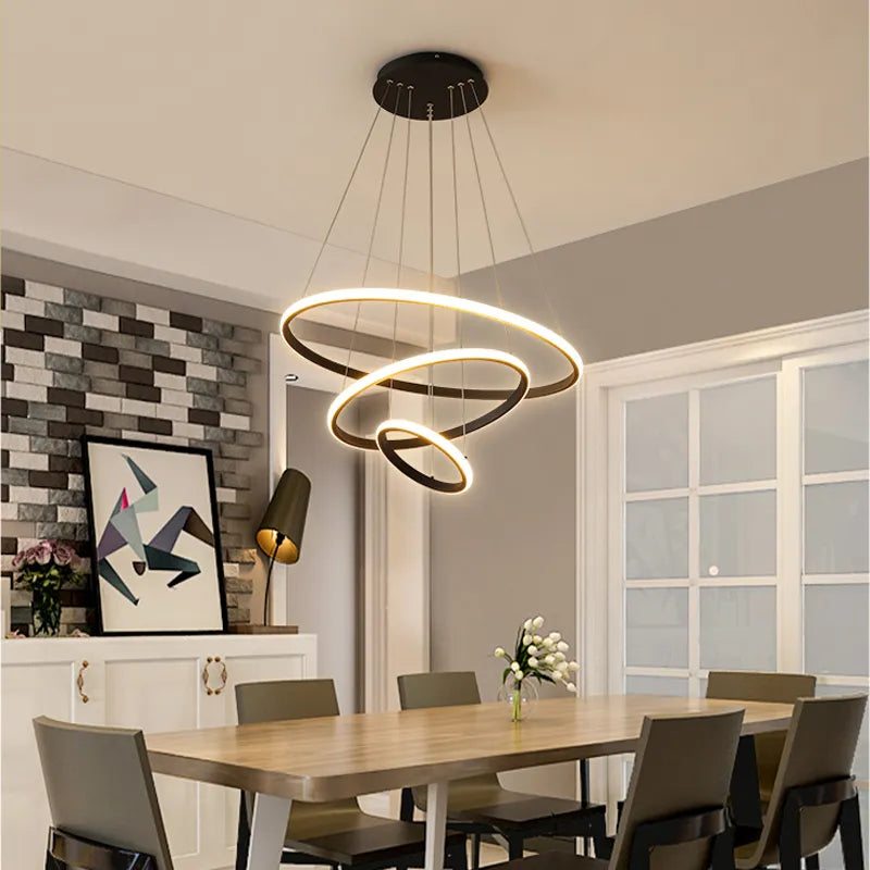 Suspension Luminaire Cercle